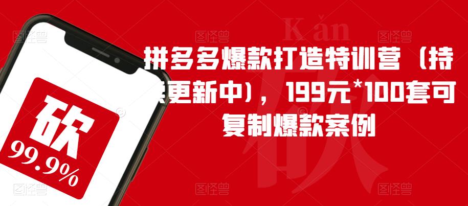 拼多多爆款打造特训营（持续更新中)，199元*100套可复制爆款案例-6688资源库