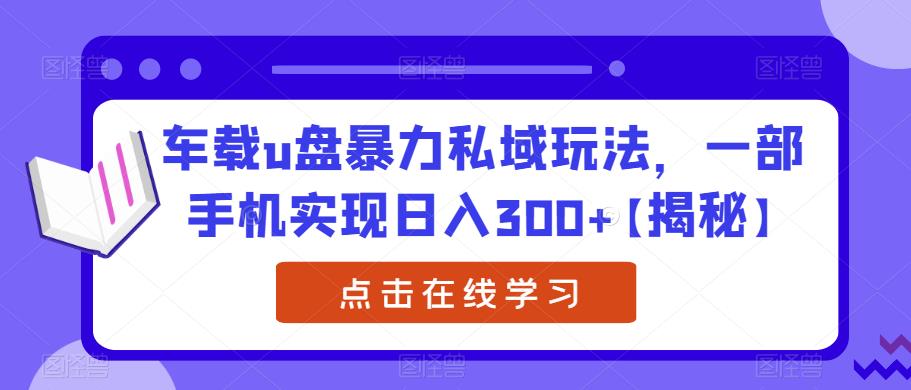 车载u盘暴力私域玩法,一部手机实现日入300+【揭秘】-6688资源库