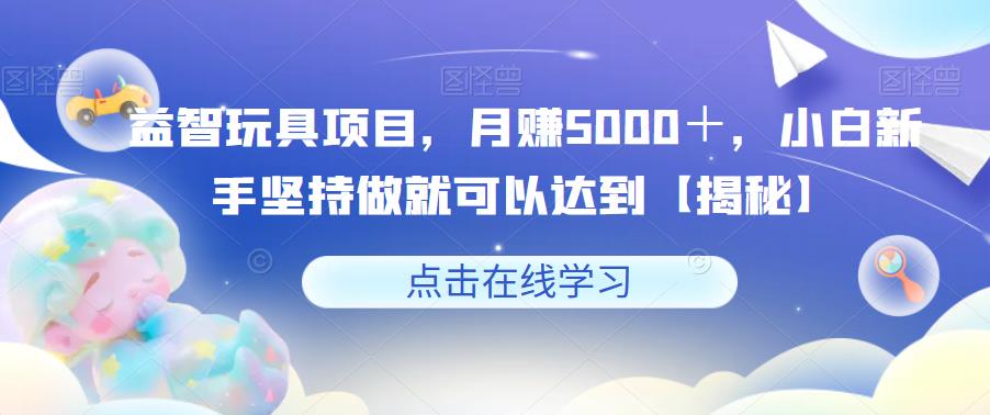 益智玩具项目，月赚5000＋，小白新手坚持做就可以达到【揭秘】-6688资源库