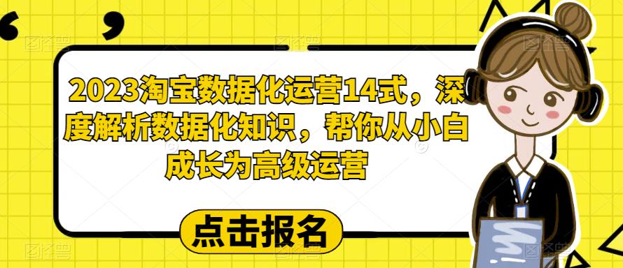 2023淘宝数据化运营14式，深度解析数据化知识，帮你从小白成长为高级运营-6688资源库