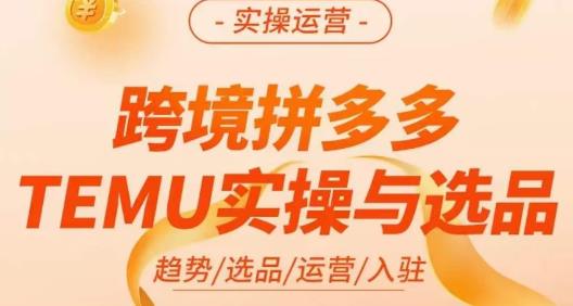 伍跃·跨境拼多多TEMU实操与选品，​趋势/选品/运营/入住（27节完整）-6688资源库