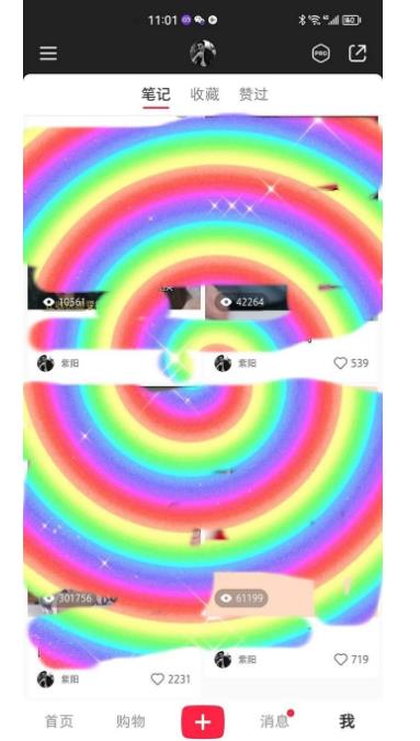 冷门高利润项目，小红书带货，无脑搬运，一部手机实现日入500+【揭秘】-6688资源库