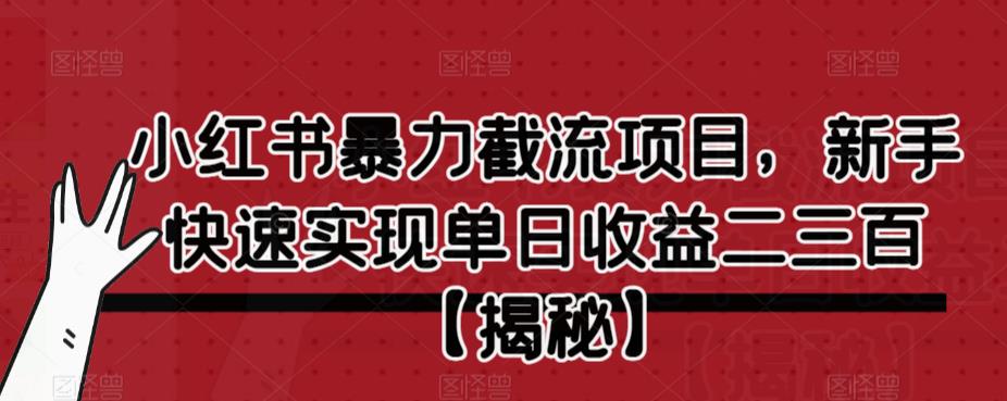小红书暴力截流项目，新手快速实现单日收益二三百【仅揭秘】-6688资源库