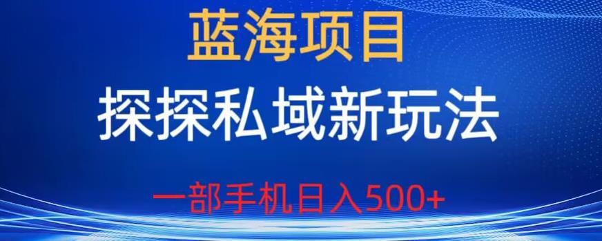 蓝海项目,探探私域新玩法,一部手机日入500+很轻松【揭秘】-6688资源库