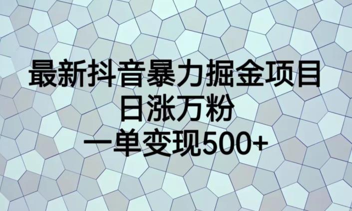 最新抖音暴力掘金项目，日涨万粉，一单变现500+【揭秘】-6688资源库
