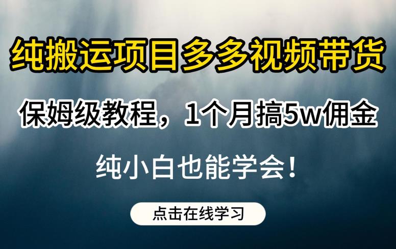 纯搬运项目多多视频带货保姆级教程,1个月搞5w佣金,纯小白也能学会【揭秘】-6688资源库