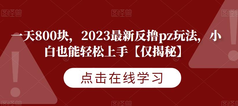一天800块，2023最新反撸pz玩法，小白也能轻松上手【仅揭秘】-6688资源库