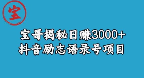 宝哥揭秘日赚3000+抖音励志语录号短视频变现项目-6688资源库