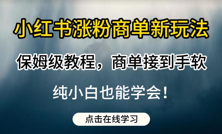 小红书涨粉商单新玩法,保姆级教程,商单接到手软,纯小白也能学会【揭秘】-6688资源库