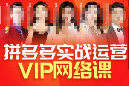 推易拼多多VIP全套直播课程，拼多多店铺实操玩法+实战玩法选款内功+直通车高阶等-6688资源库
