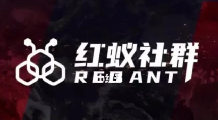 社群运营：红蚁社群【48节落地系统课程+2000人高端社群】-6688资源库