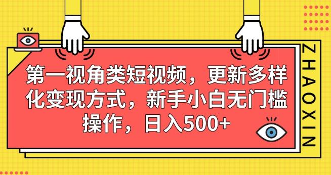 第一视角类短视频，更新多样化变现方式，新手小白无门槛操作，日入500+【揭秘】-6688资源库