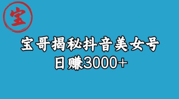 宝哥揭秘抖音美女号玩法，日赚3000+【揭秘】-6688资源库