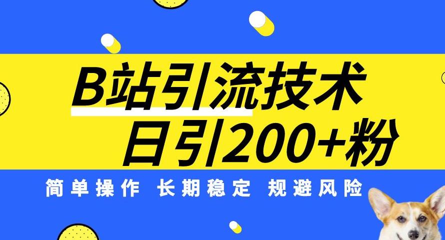 B站引流技术：每天引流200精准粉，简单操作，长期稳定，规避风险-6688资源库