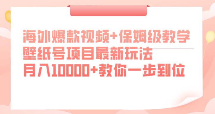 海外爆款视频+保姆级教学，壁纸号项目最新玩法，月入10000+教你一步到位【揭秘】-6688资源库