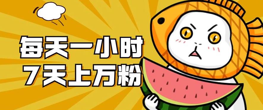 暴力涨粉项目：每天一小时，七天上万粉【揭秘】-6688资源库