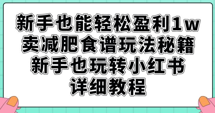 新手也能轻松盈利1w，卖减肥食谱玩法秘籍，新手也玩转小红书详细教程【揭秘】-6688资源库