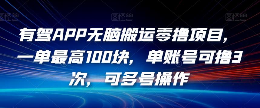 有驾APP无脑搬运零撸项目，一单最高100块，单账号可撸3次，可多号操作【揭秘】-6688资源库