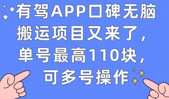 有驾APP口碑无脑搬运项目又来了，单号最高110块，可多号操作-6688资源库