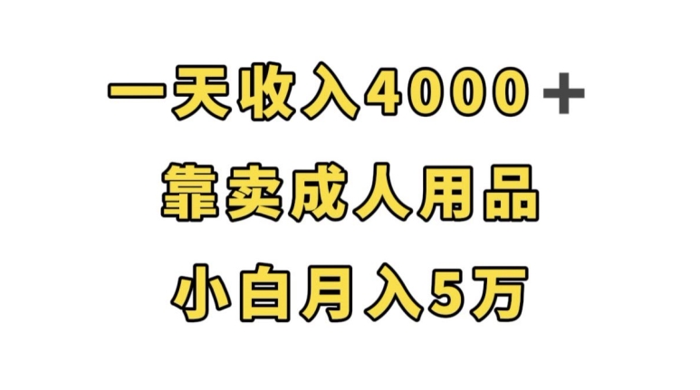一天收入4000+，靠卖成人用品，小白轻松月入5万【揭秘】-6688资源库