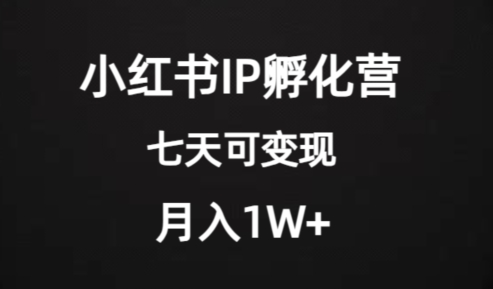 价值2000+的小红书IP孵化营项目，超级大蓝海，七天即可开始变现，稳定月入1W+-6688资源库