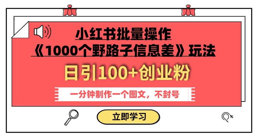 小红书批量操作《1000个野路子信息差》玩法，一分钟制作一个图文，不封号，日引100+创业粉-6688资源库
