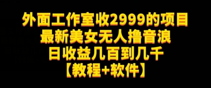 外面工作室收2999的项目最新美女无人撸音浪日收益几百到几千【教程+软件】（仅揭秘）-6688资源库