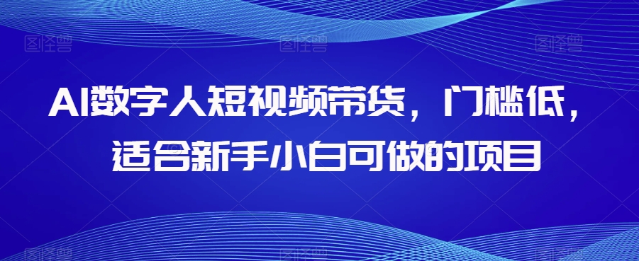 AI数字人短视频带货，门槛低，适合新手小白可做的项目-6688资源库