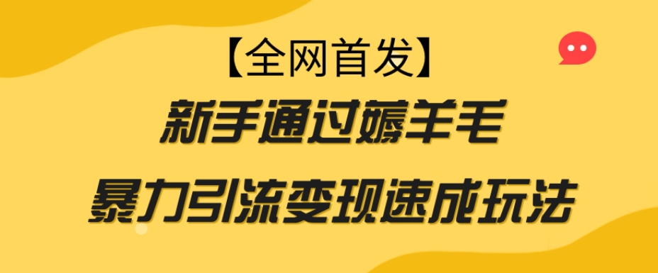 【全网首发】新手通过薅羊毛暴力引流变现速成玩法-6688资源库