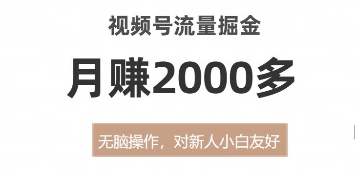 视频号流量掘金，无脑操作，对新人小白友好，月赚2000多【揭秘】-6688资源库