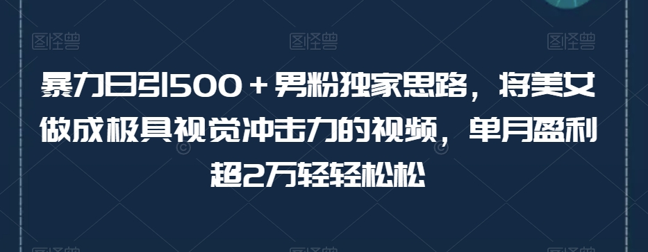 暴力日引500＋男粉独家思路，将美女做成极具视觉冲击力的视频，单月盈利超2万轻轻松松-6688资源库
