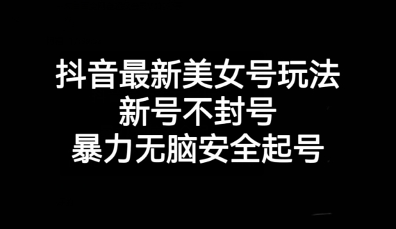 抖音最新美女号玩法，新号不封号，暴力无脑安全起号【揭秘】-6688资源库