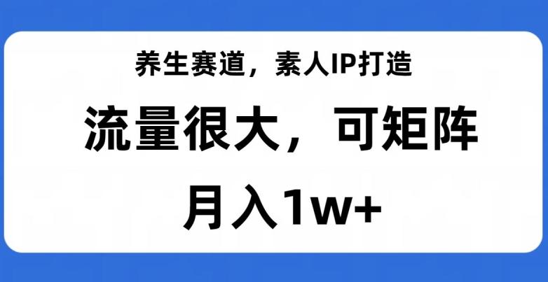 养生赛道,素人IP打造,流量很大,可矩阵,月入1w+【揭秘】-6688资源库