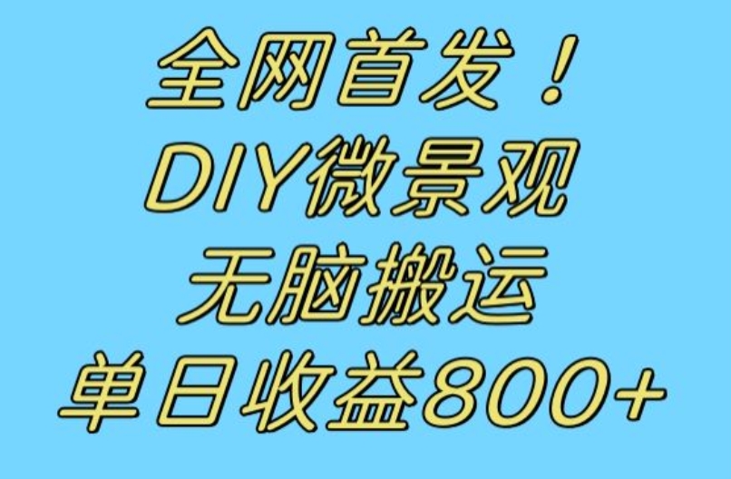 全网首发冷门赛道!DIY微景观,无脑搬运视频,日收益800+【揭秘】-6688资源库