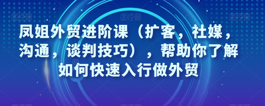 凤姐外贸进阶课（扩客，社媒，沟通，谈判技巧），帮助你了解如何快速入行做外贸-6688资源库