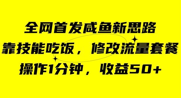 咸鱼冷门新玩法，靠“技能吃饭”，修改流量套餐，操作1分钟，收益50【揭秘】-6688资源库