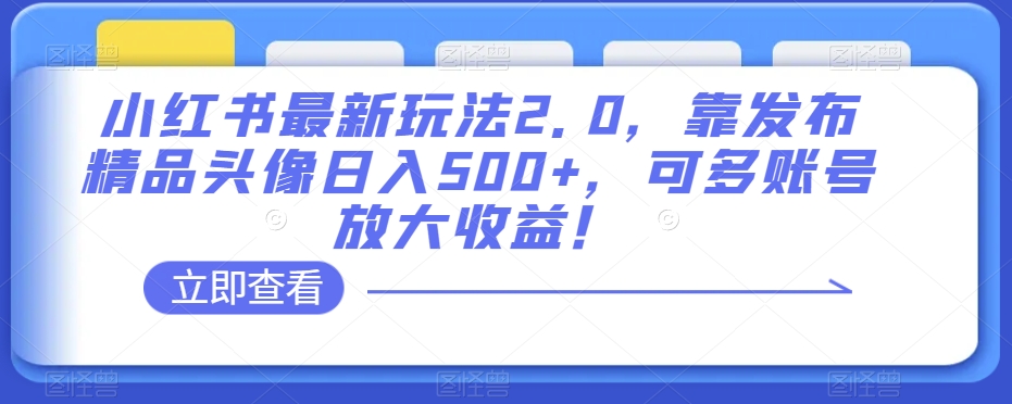 小红书最新玩法2.0，靠发布精品头像日入500+，可多账号放大收益！【揭秘】-6688资源库