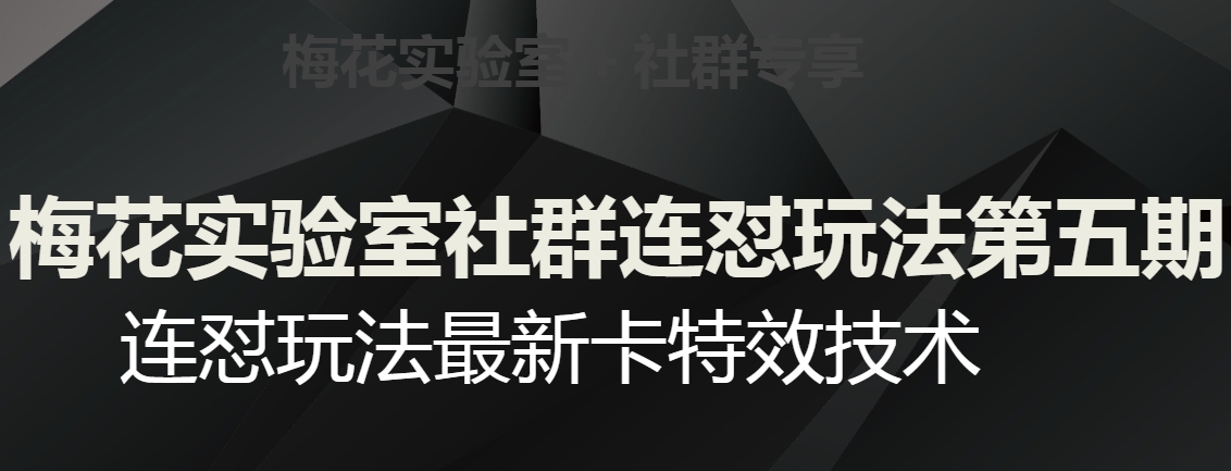 梅花实验室社群连怼玩法第五期，视频号连怼玩法最新卡特效技术-6688资源库