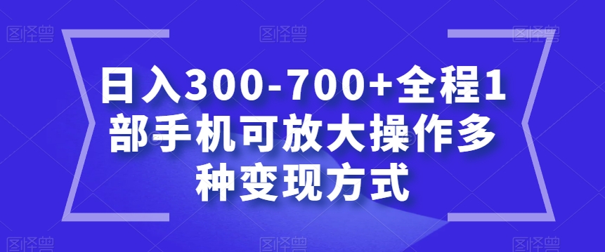 日入300-700+全程1部手机可放大操作多种变现方式【揭秘】-6688资源库