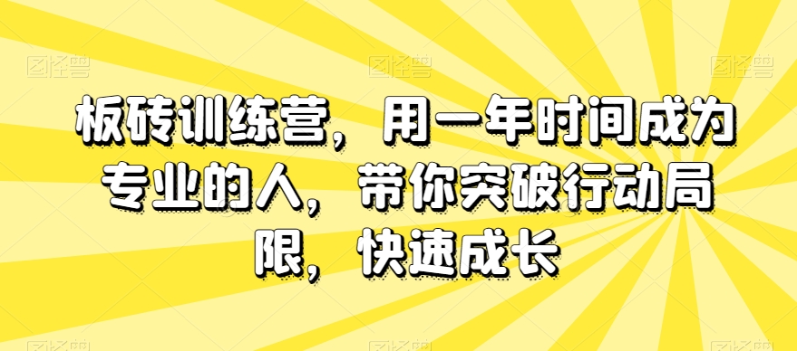 板砖训练营,用一年时间成为专业的人,带你突破行动局限,快速成长-6688资源库