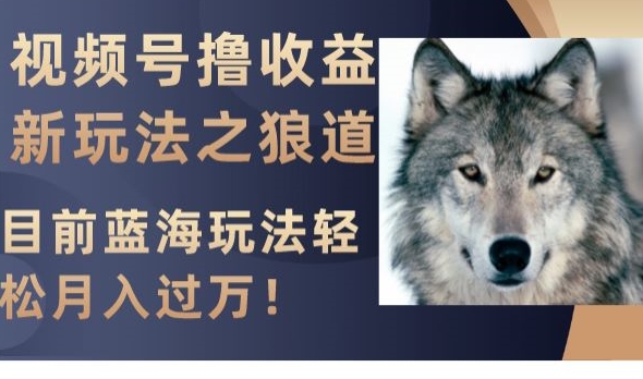 视频号撸收益新玩法之狼道，目前蓝海玩法，轻松月入过万【揭秘】-6688资源库