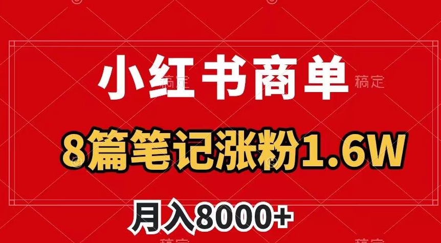 小红书商单最新玩法，8篇笔记涨粉1.6w，作品制作简单，月入8000+【揭秘】-6688资源库