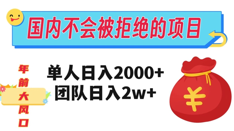 在国内不怕被拒绝的项目，单人日入2000，团队日入20000+【揭秘】-6688资源库
