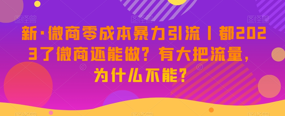 新·微商零成本暴力引流丨都2023了微商还能做？有大把流量，为什么不能？-6688资源库