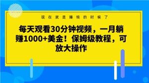 每天观看30分钟视频，一月躺赚1000+美金！保姆级教程，可放大操作【揭秘】-6688资源库