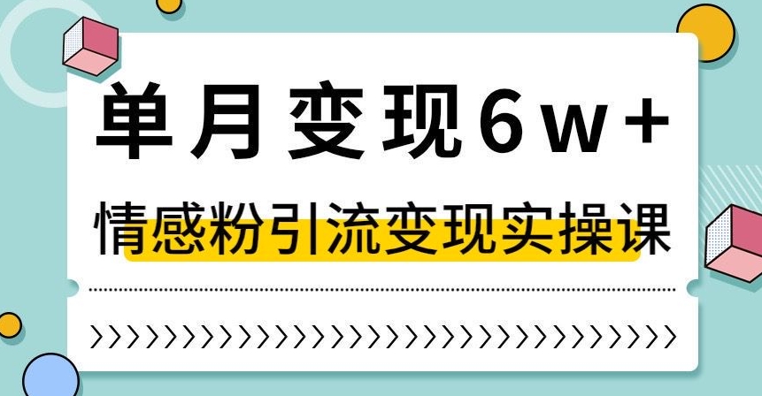 单月变现6W+，抖音情感粉引流变现实操课，小白可做，轻松上手，独家赛道【揭秘】-6688资源库