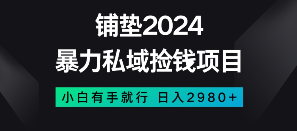 暴力私域捡钱项目，小白无脑操作，日入2980【揭秘】-6688资源库