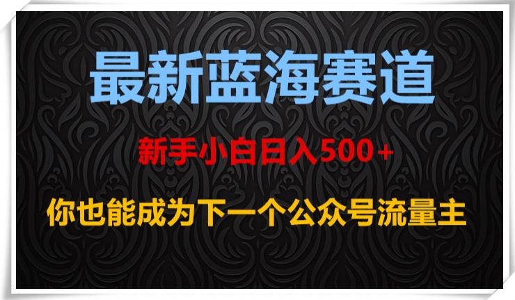 最新蓝海赛道,新手小白日入500+,你也能成为下一个公众号流量主【揭秘】-6688资源库