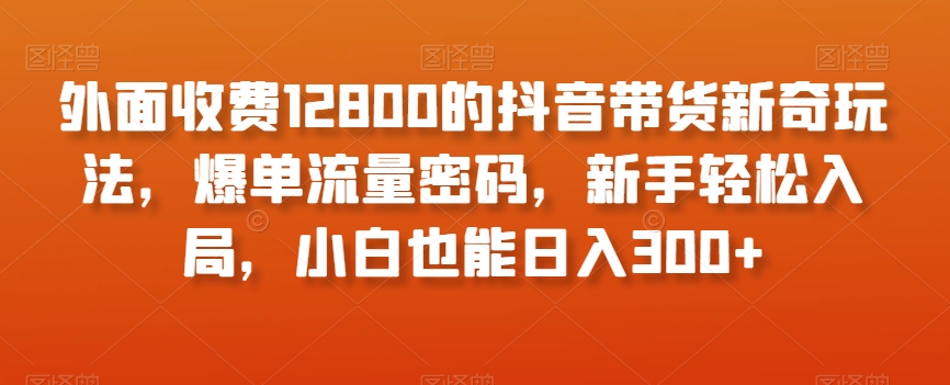外面收费12800的抖音带货新奇玩法，爆单流量密码，新手轻松入局，小白也能日入300+【揭秘】-6688资源库