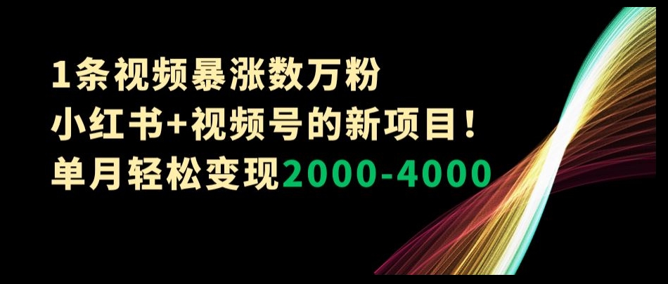 1条视频暴涨数万粉–小红书+视频号的新项目！单月轻松变现2000-4000【揭秘】-6688资源库